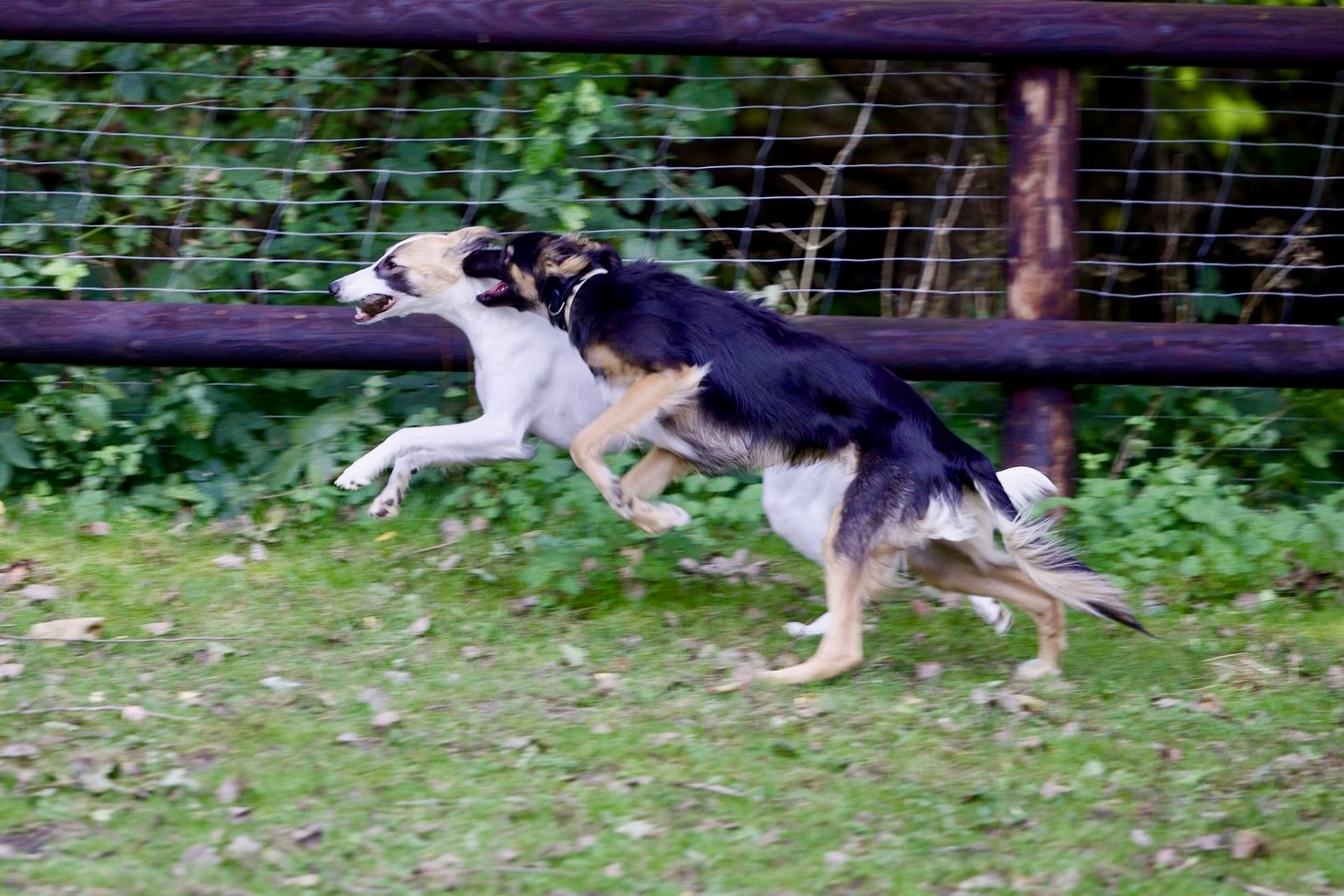  Alle Liebe und Alles Glück von den Buschperlen 