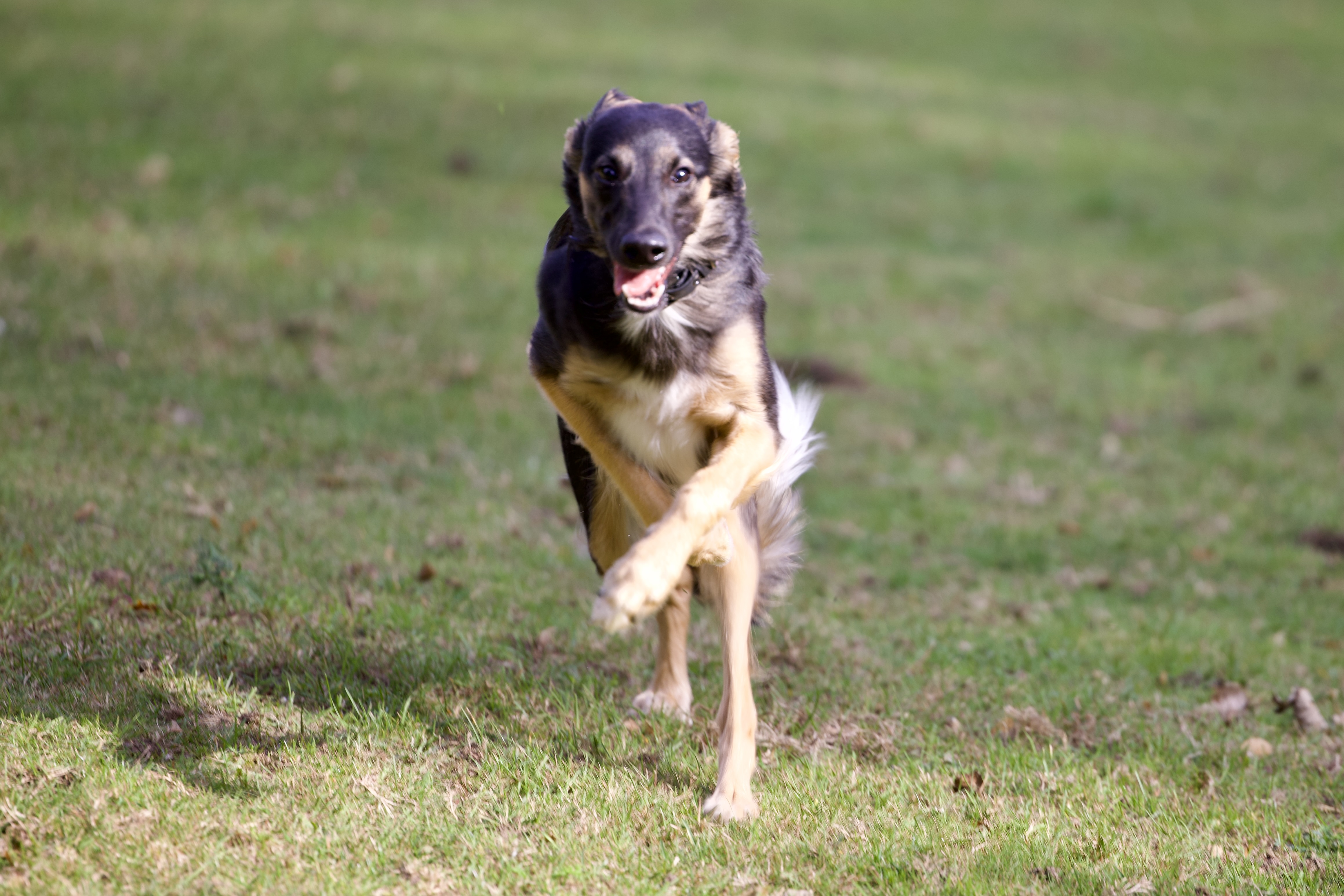  Fiete – Alles Glück von den Buschperlen 