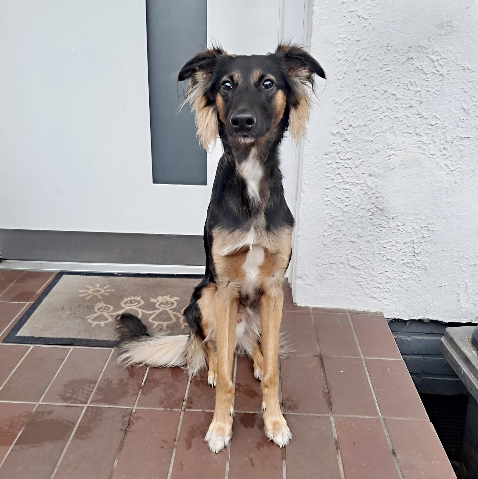  Fiete – Alles Glück von den Buschperlen 