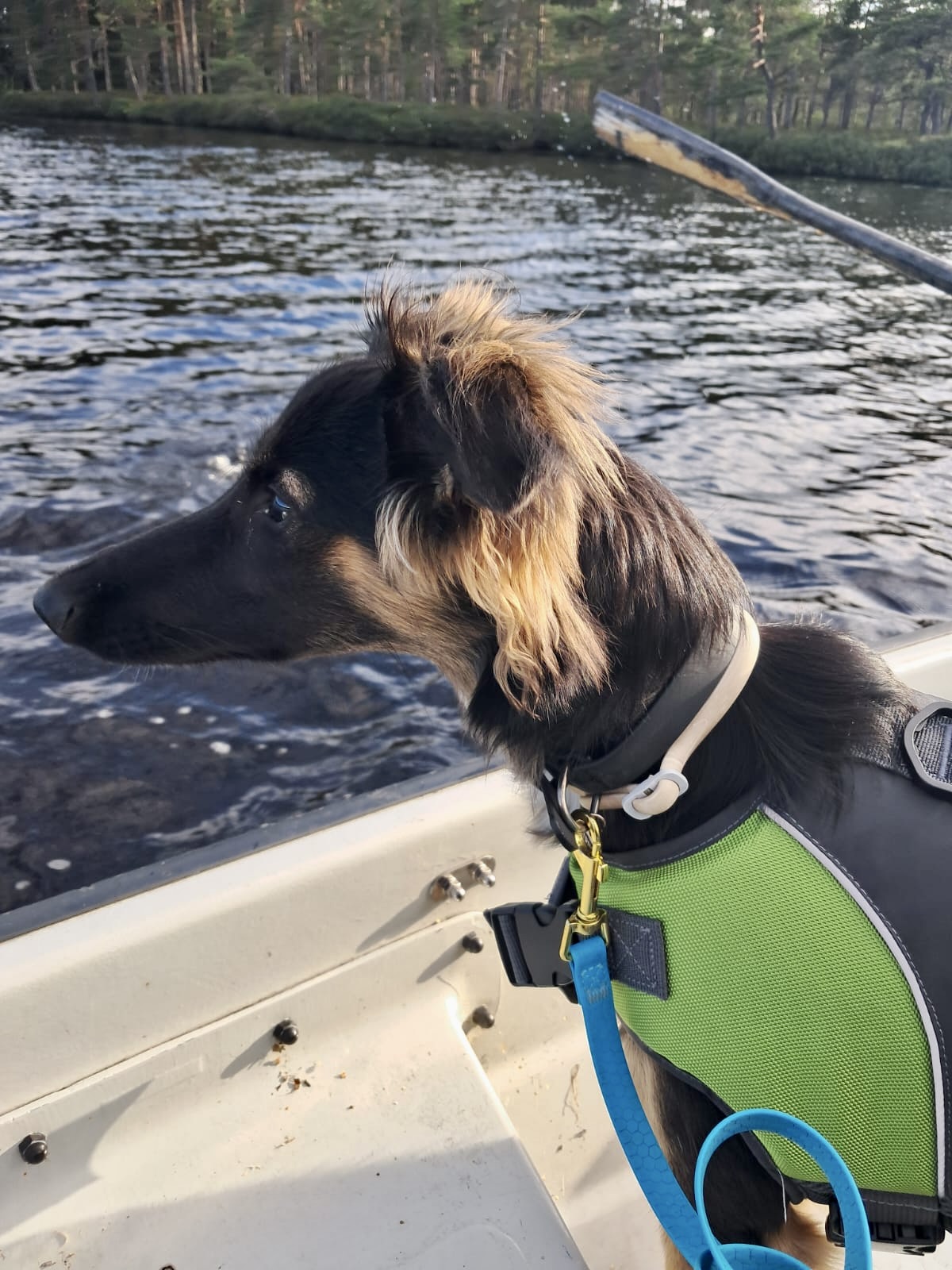  Fiete – Alles Glück von den Buschperlen 