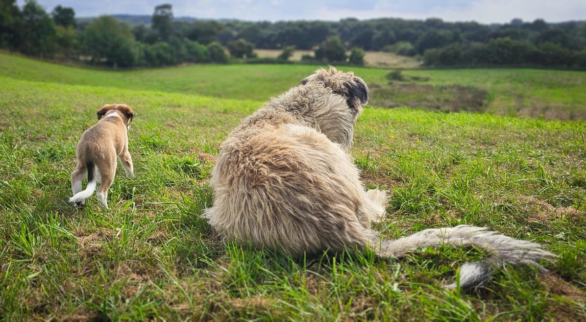  Keke – Beste Laune von den Buschperlen mit Freund Olsen, Foto: www.kath-fotografie.de 