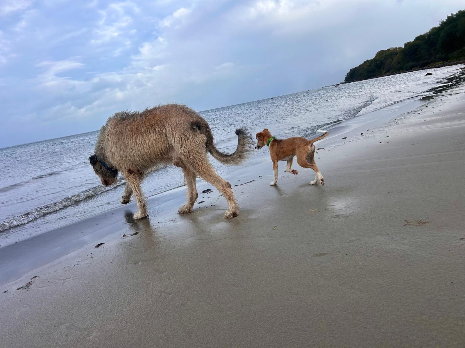 Keke – Beste Laune von den Buschperlen mit Freund Olsen, Foto: www.kath-fotografie.de 