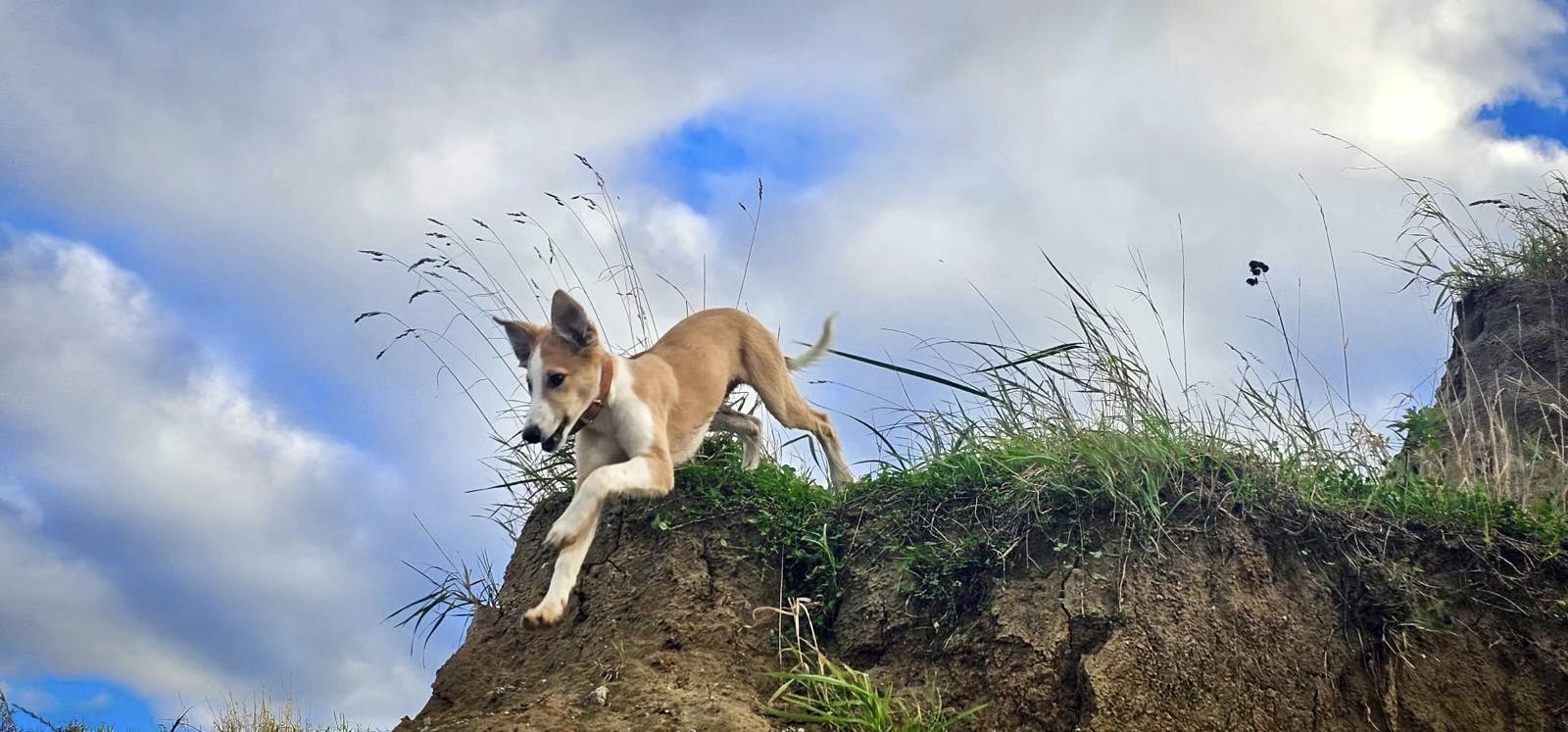  Keke – Beste Laune von den Buschperlen 