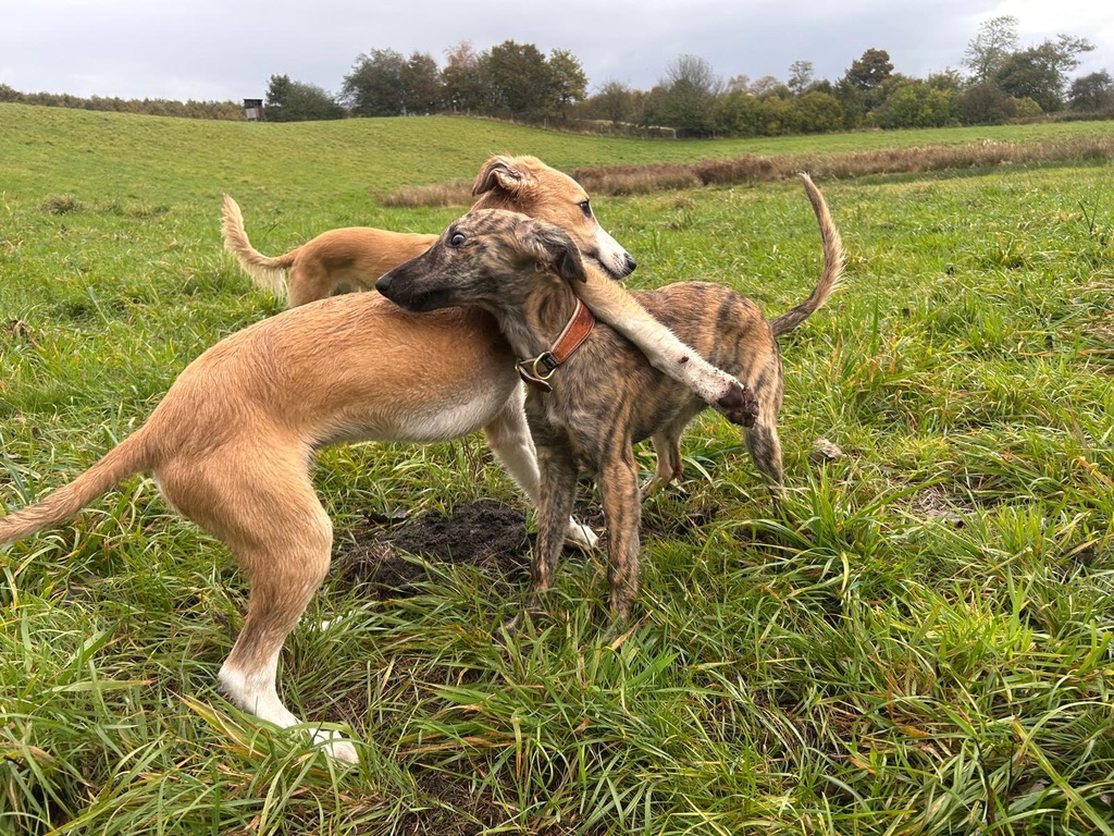  Keke – Beste Laune von den Buschperlen mit beste Freundin von den Buschperlen 