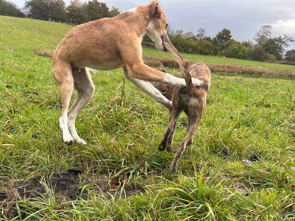  Keke – Beste Laune von den Buschperlen mit beste Freundin von den Buschperlen 