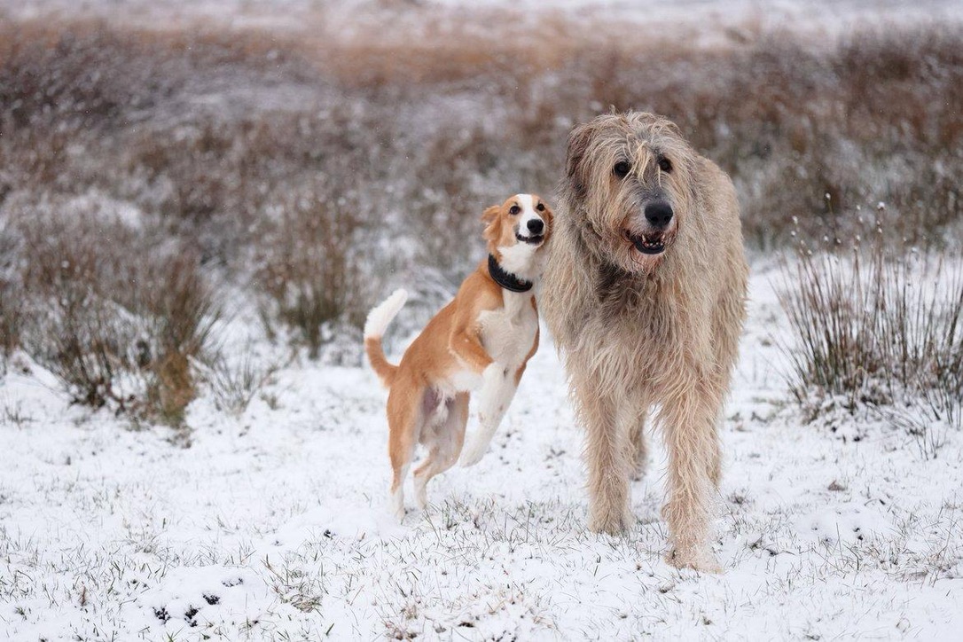  Keke – Beste Laune von den Buschperlen mit Freund Olsen, Foto: www.kath-fotografie.de 