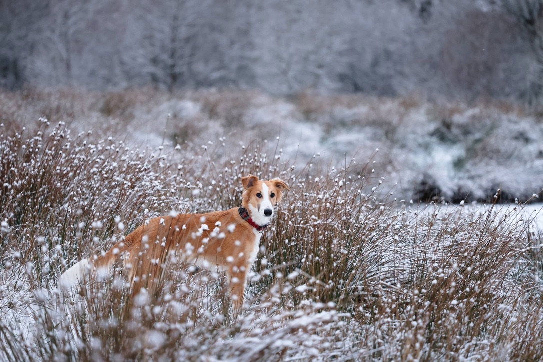  Keke – Beste Laune von den Buschperlen, Foto: www.kath-fotografie.de 