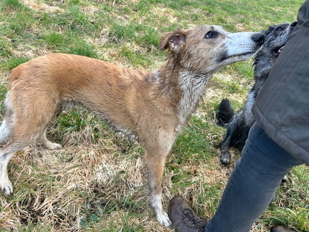  Keke – Beste Laune von den Buschperlen 