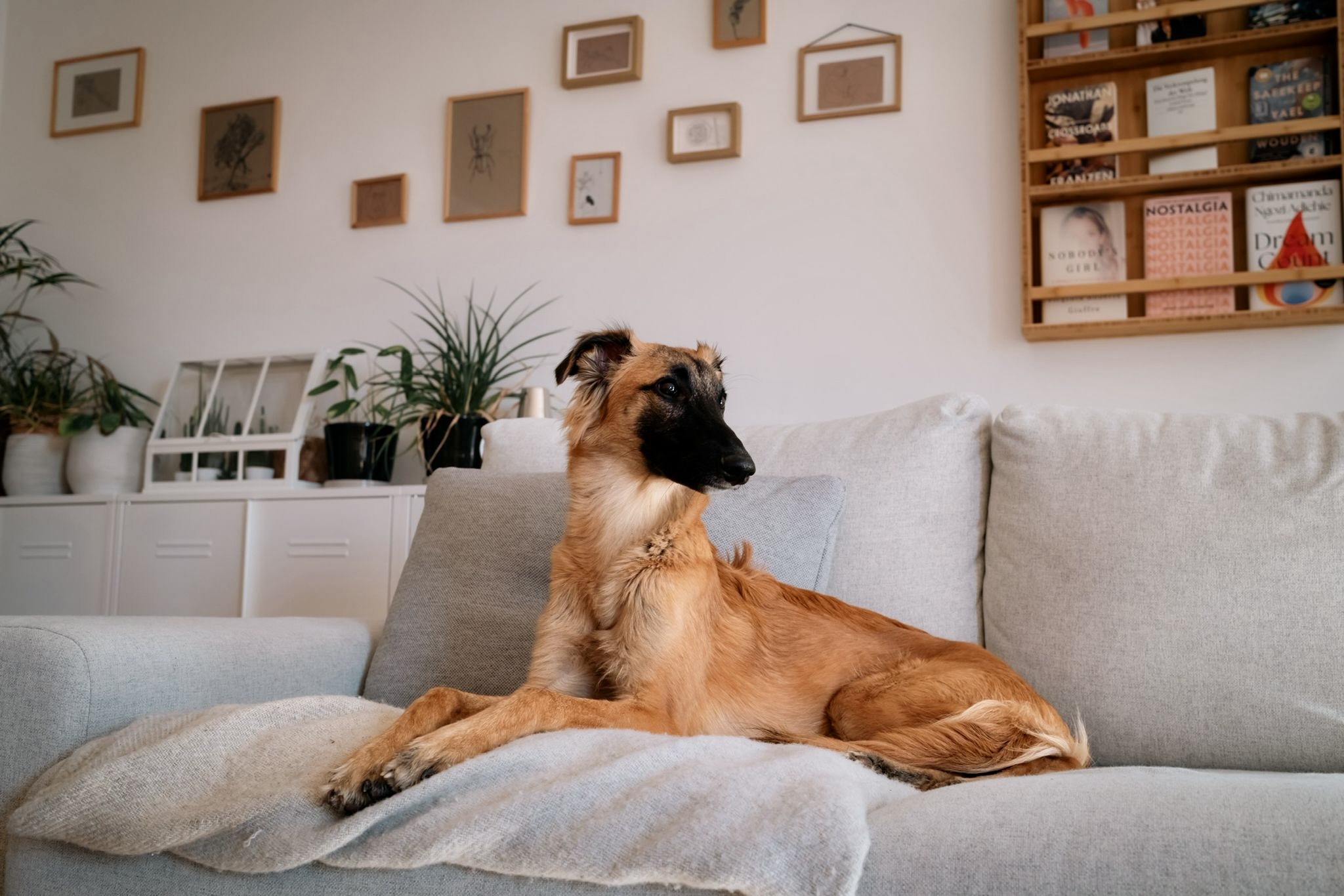  Bert – Bester Freund von den Buschperlen 