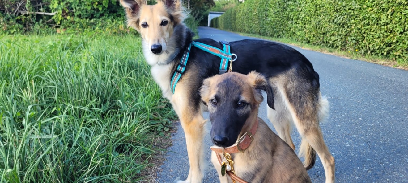  Bay – Bester Schatz von den Buschperlen 