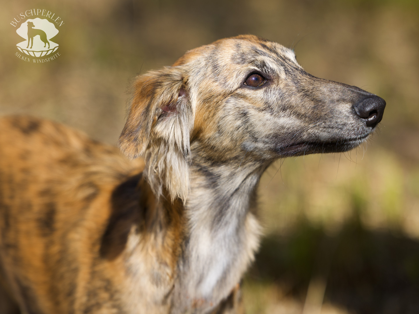  Beste Freundin von den Buschperlen 