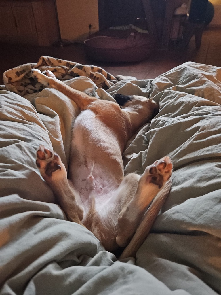  Emil – Cosmo Atlantico von den Buschperlen 