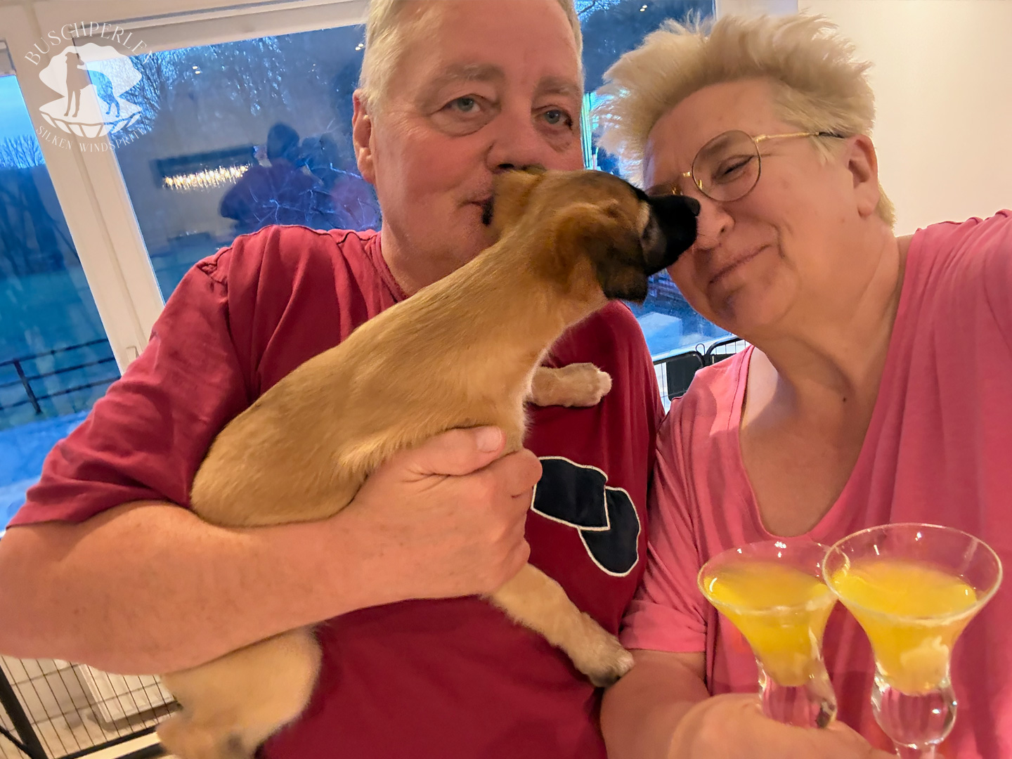  Cosma II – Cosma Alhambra von den Buschperlen 