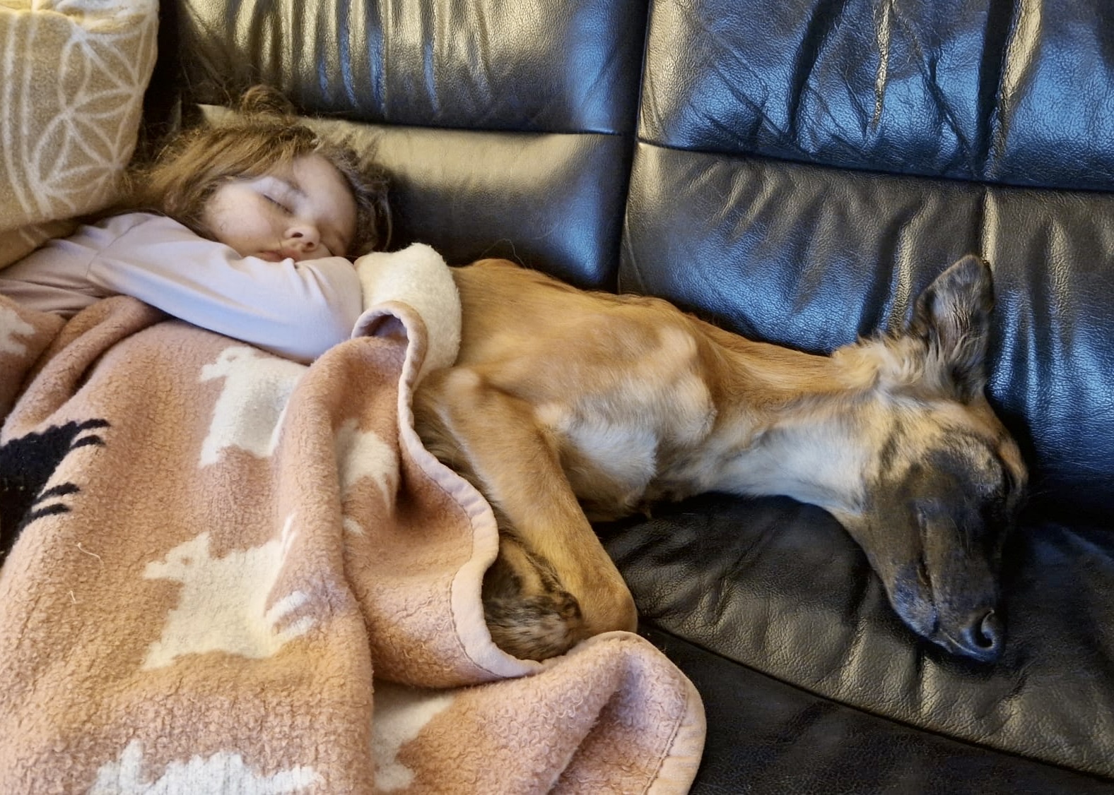  Bay – Bester Schatz von den Buschperlen 