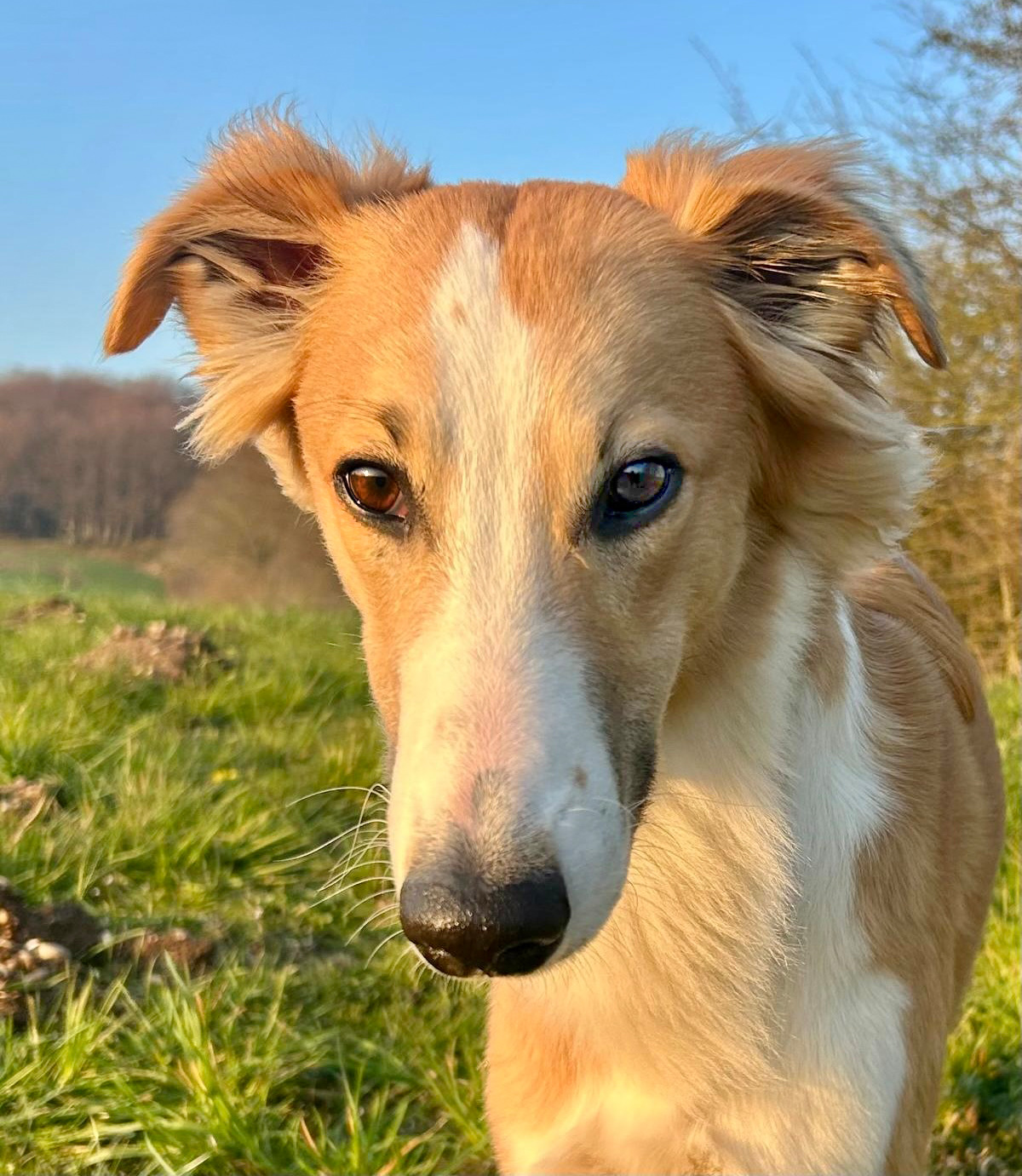 Keke – Beste Laune von den Buschperlen 